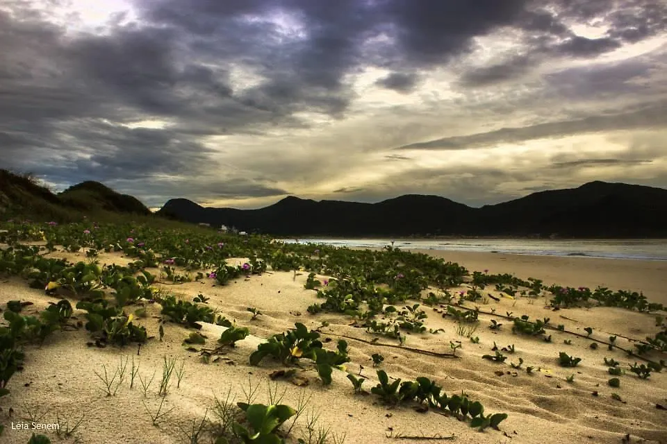 Tiki Mares Do Sul Hotel Florianopolis